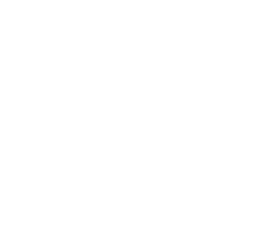 majestik logo beyaz